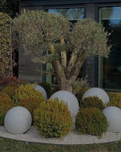 Dış Mekan Bitkiler